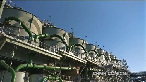 深化六個引領(lǐng)，建設(shè)一帶一路精品工程——礦冶集團南非PMC浮選廠總承包項目建設(shè)紀(jì)實